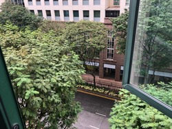 The Bencoolen (D7), Apartment #220673011